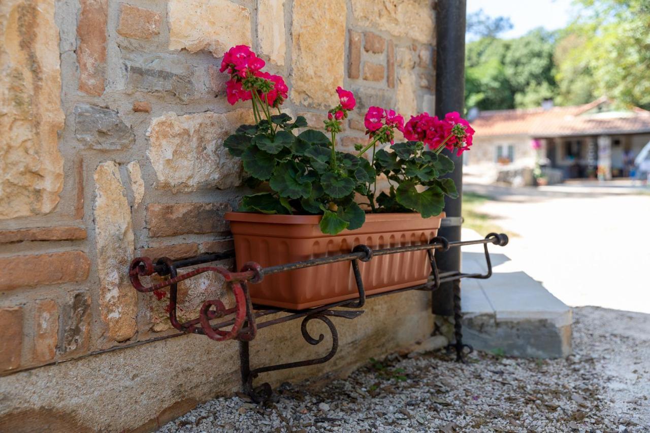 Holiday House Hana Rovinj Kültér fotó