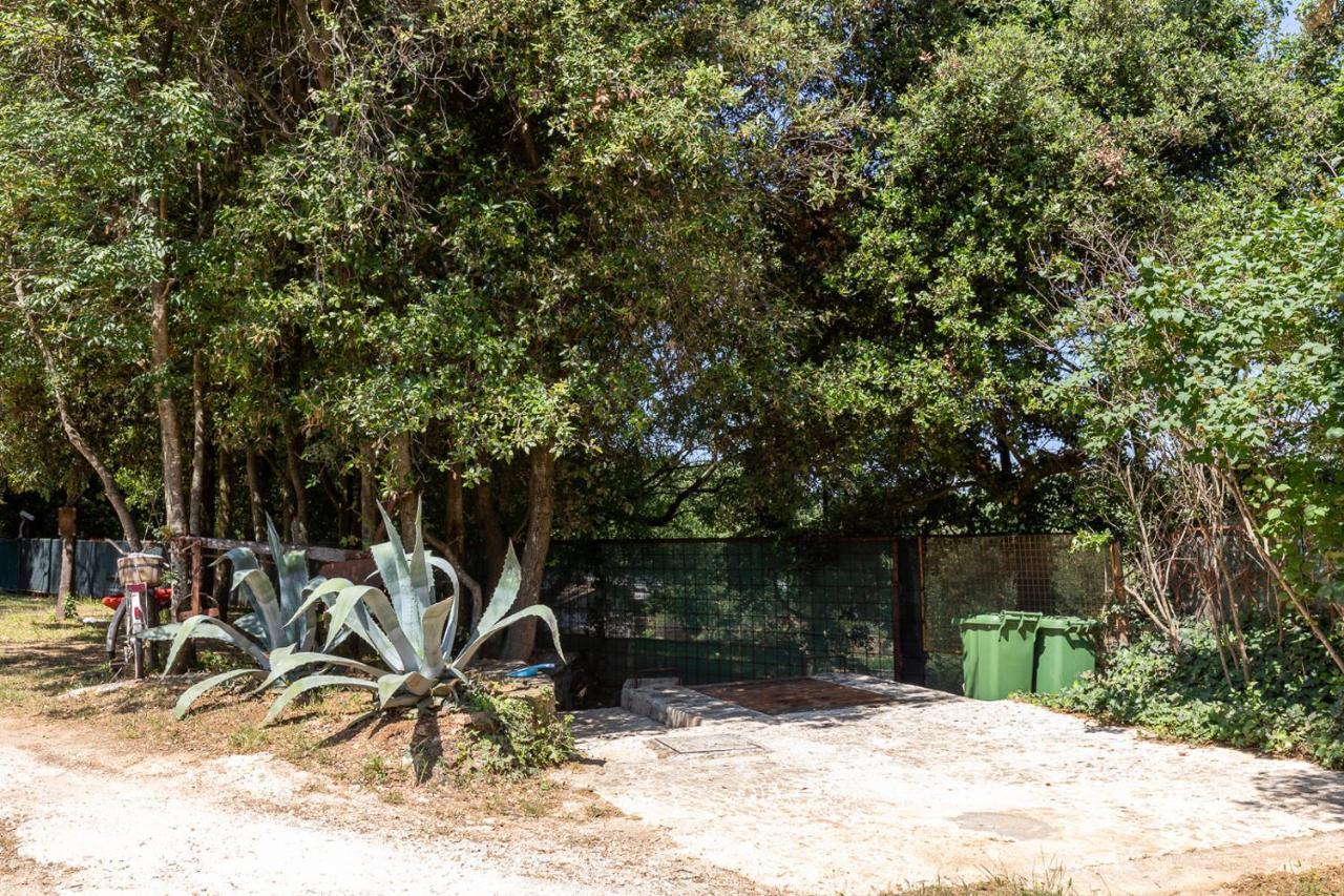 Holiday House Hana Rovinj Kültér fotó
