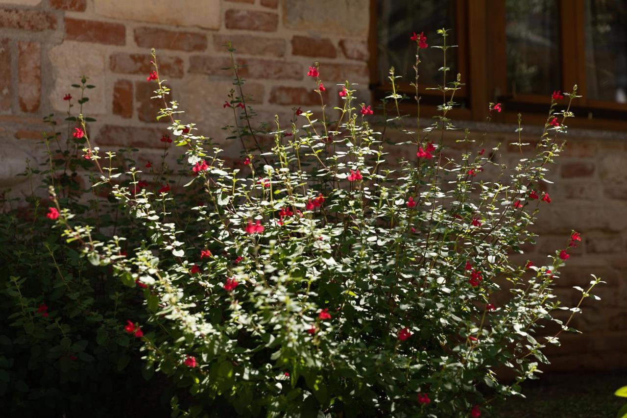 Holiday House Hana Rovinj Kültér fotó