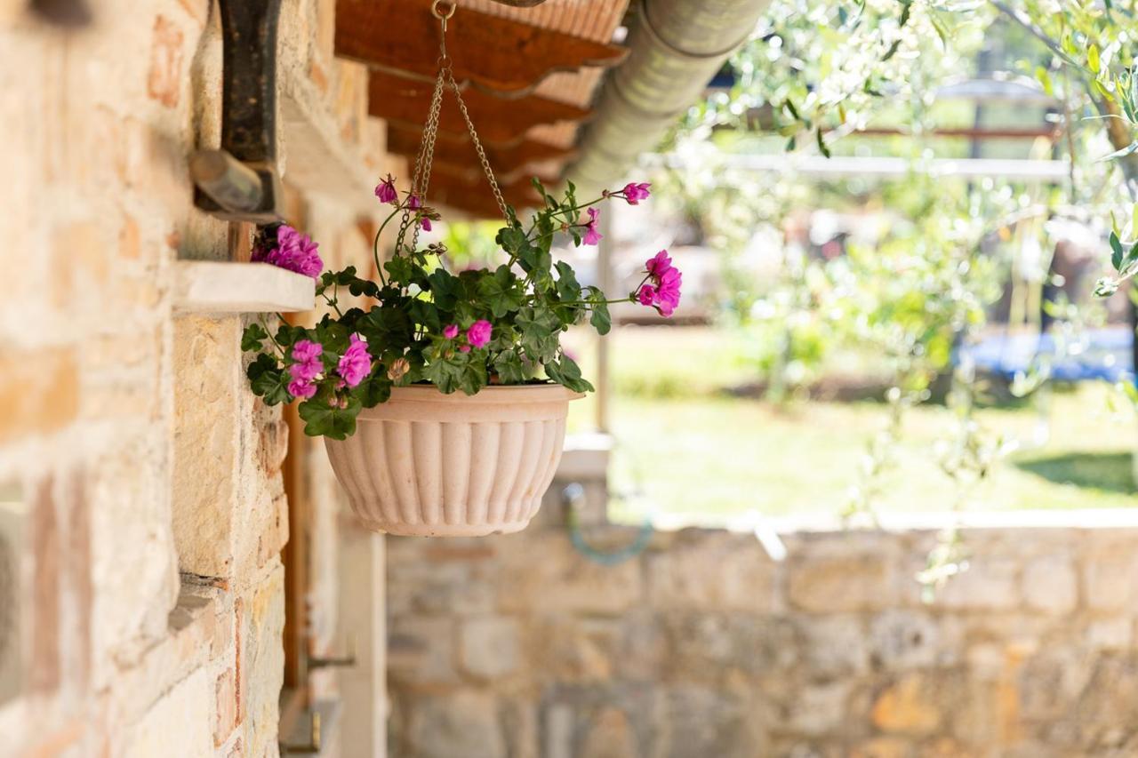 Holiday House Hana Rovinj Kültér fotó